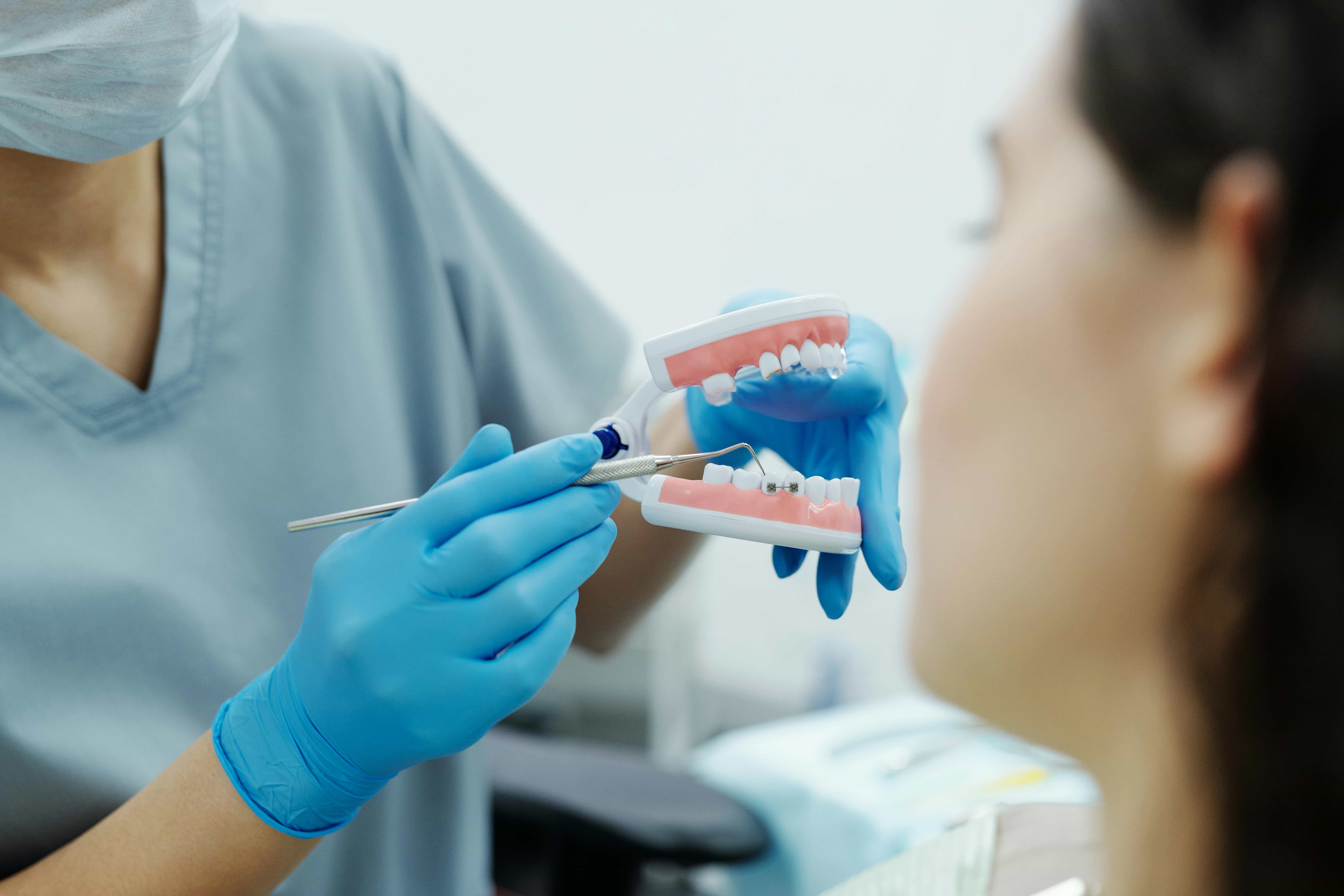 orthodontist showing braces on teeth